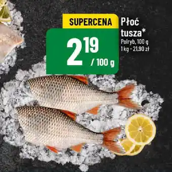 Polomarket Płoć tusza oferta