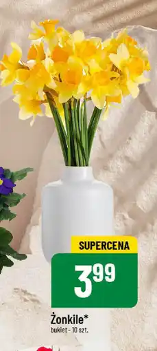 Polomarket Zonkile oferta