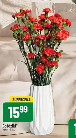 Polomarket Goździki oferta