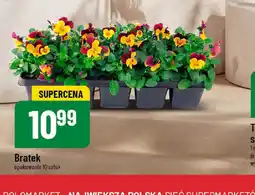 Polomarket Bratek oferta