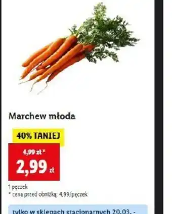 Lidl Marchew młoda oferta