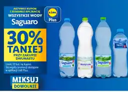 Lidl Woda Saguaro oferta