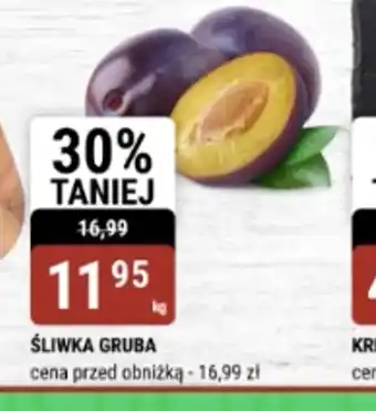 bi1 Sliwka gruba oferta