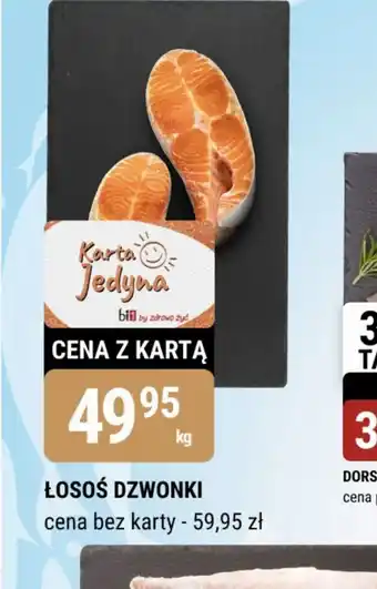 bi1 Losoś dzwonki oferta