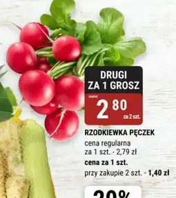 bi1 Rzodkiewka pęczek oferta