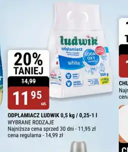 bi1 Odplamiacz Ludwik oferta