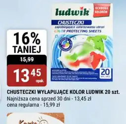 bi1 Chusteczki wyłapujące kolor Ludwik oferta