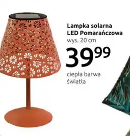 Black Red White Lampka solarna Barwa oferta