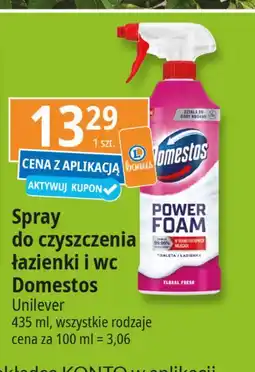 E.Leclerc Spray do czyszczenia floral fiesta Domestos Power Foam oferta