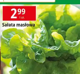 E.Leclerc Sałata masłowa oferta