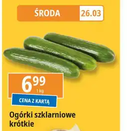 E.Leclerc Ogórek krótki szklarniowy oferta