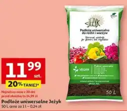 Auchan Podłoże uniwersalne Jeżyk oferta