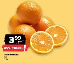 Netto Pomarańcza oferta