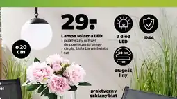 Netto Lampa solarna led oferta