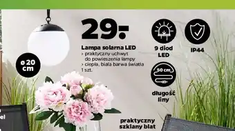 Netto Lampa solarna led oferta