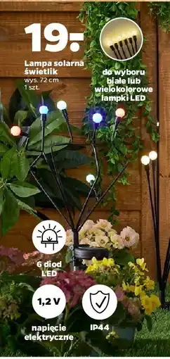 Netto Lampa solarna świetliki 72 cm oferta