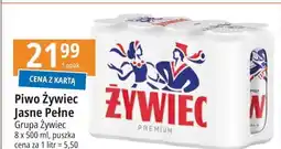 E.Leclerc Piwo Żywiec Jasne Pełne oferta