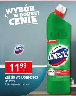 E.Leclerc Płyn do wc pine Domestos oferta