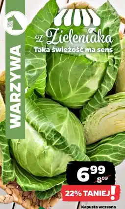 Netto Kapusta wczesna oferta