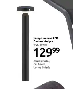 Black Red White Lampa solarna Barwa oferta