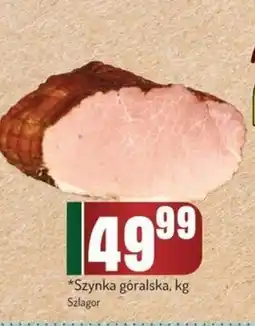 Avita Szynka Szlagor oferta