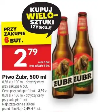 Twój Market Piwo Żubr oferta