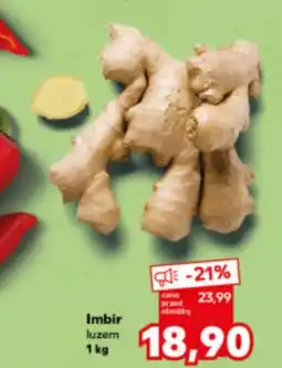 Kaufland Imbir oferta