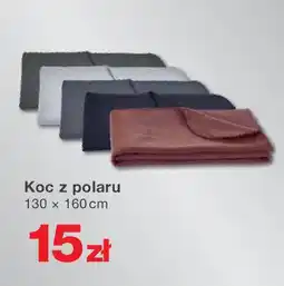 KiK Koc z polaru oferta