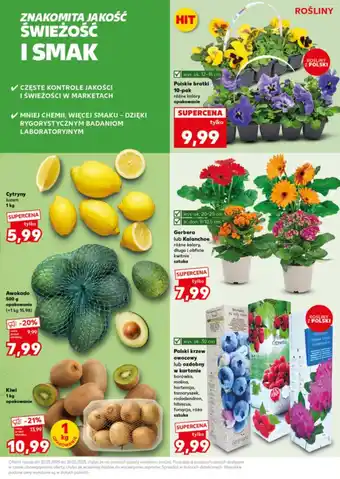 Kaufland Awokado oferta