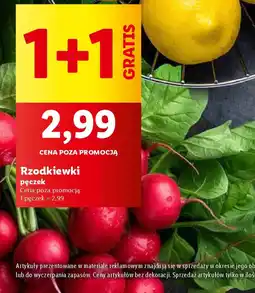 Lidl Rzodkiewki oferta