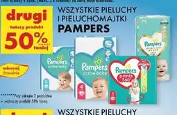 Biedronka Wszystkie pieluchy i pieluchomajtki Pampers oferta