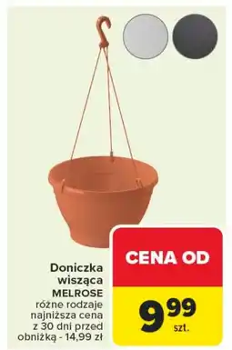 Carrefour Doniczka oferta