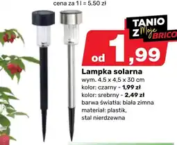 Bricomarche Lampka solarna Barwa oferta