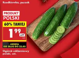 Biedronka Ogórek szklarniowy polski, szt. oferta