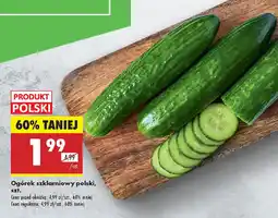 Biedronka Ogórek szklarniowy polski oferta