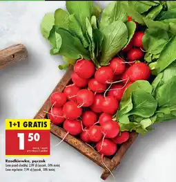 Biedronka Rzodkiewka, pęczek oferta