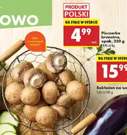Biedronka Pieczarka brunatna oferta