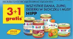 Biedronka Pierwsza marchewka Hipp oferta