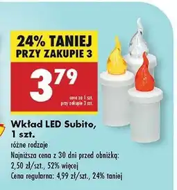 Biedronka Wkład led s5 50 dni czerwony Subito oferta