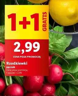 Lidl Rzodkiewka oferta