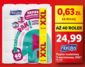Lidl Papier toaletowy Floralys oferta