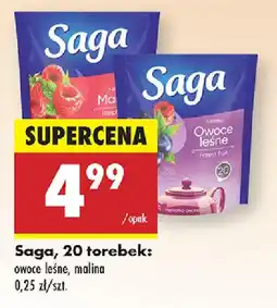 Biedronka Saga oferta