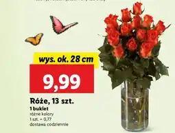 Lidl Bukiet róż oferta