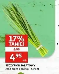 Auchan Szczypior sałatkowy oferta