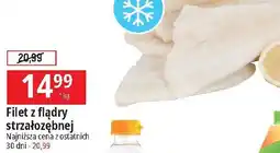 E.Leclerc Filet z flądry strzałozębnej oferta