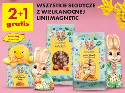 Biedronka Wszystkie słodycze z wielkanocnej linii Magnetic oferta