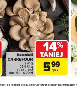 Carrefour Boczniaki Carrefour oferta