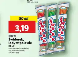 Lidl Lody Koral oferta