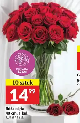 Twój Market Róża cięta 40 cm oferta
