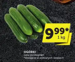 Groszek OGÓRKI oferta